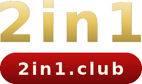 2in1 logo